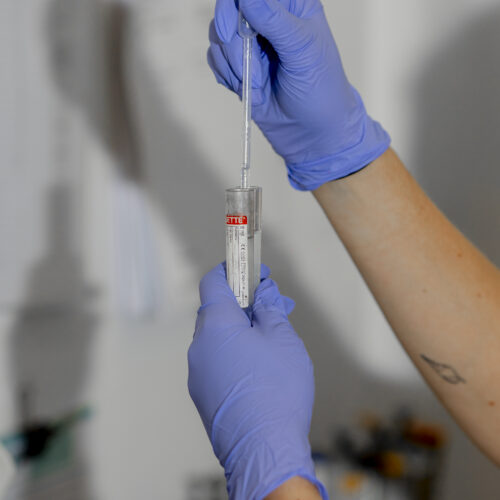Perfil Salud General (Basico)